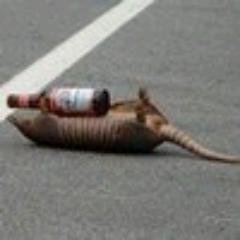 smallbutton's profile picture. Коллекционирование музыки