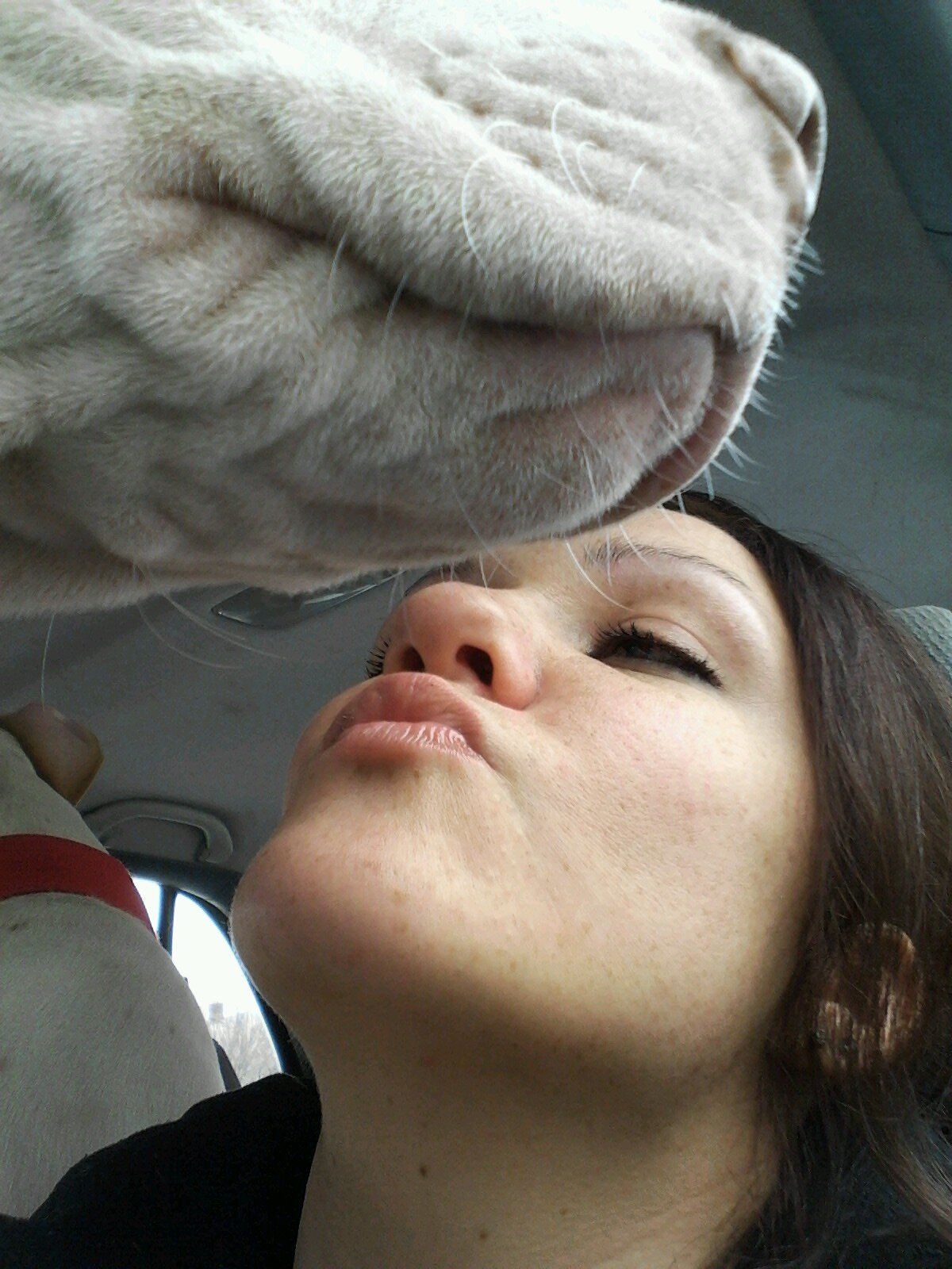 themeanestmomev's profile picture. 