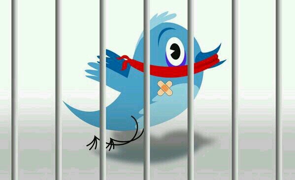 eltitos2012's profile picture. 