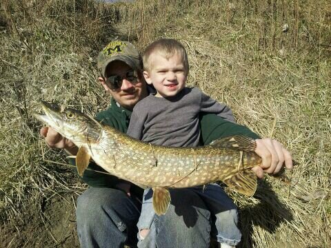 apeters91's profile picture. 