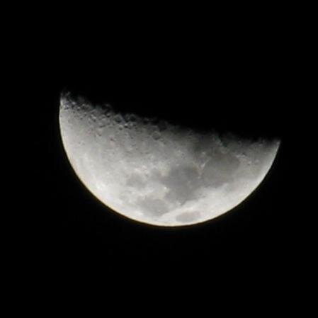 karenarianavaz3's profile picture. 