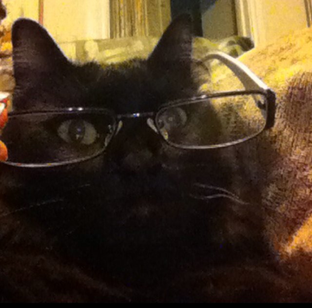 CrimsonCat21's profile picture. Lover of poetry. Canadian. Happily married to the love of my life. Writer. Feminist. Nerdsbian. Insomniac. Living w/ chronic pain & depression. And so, so queer