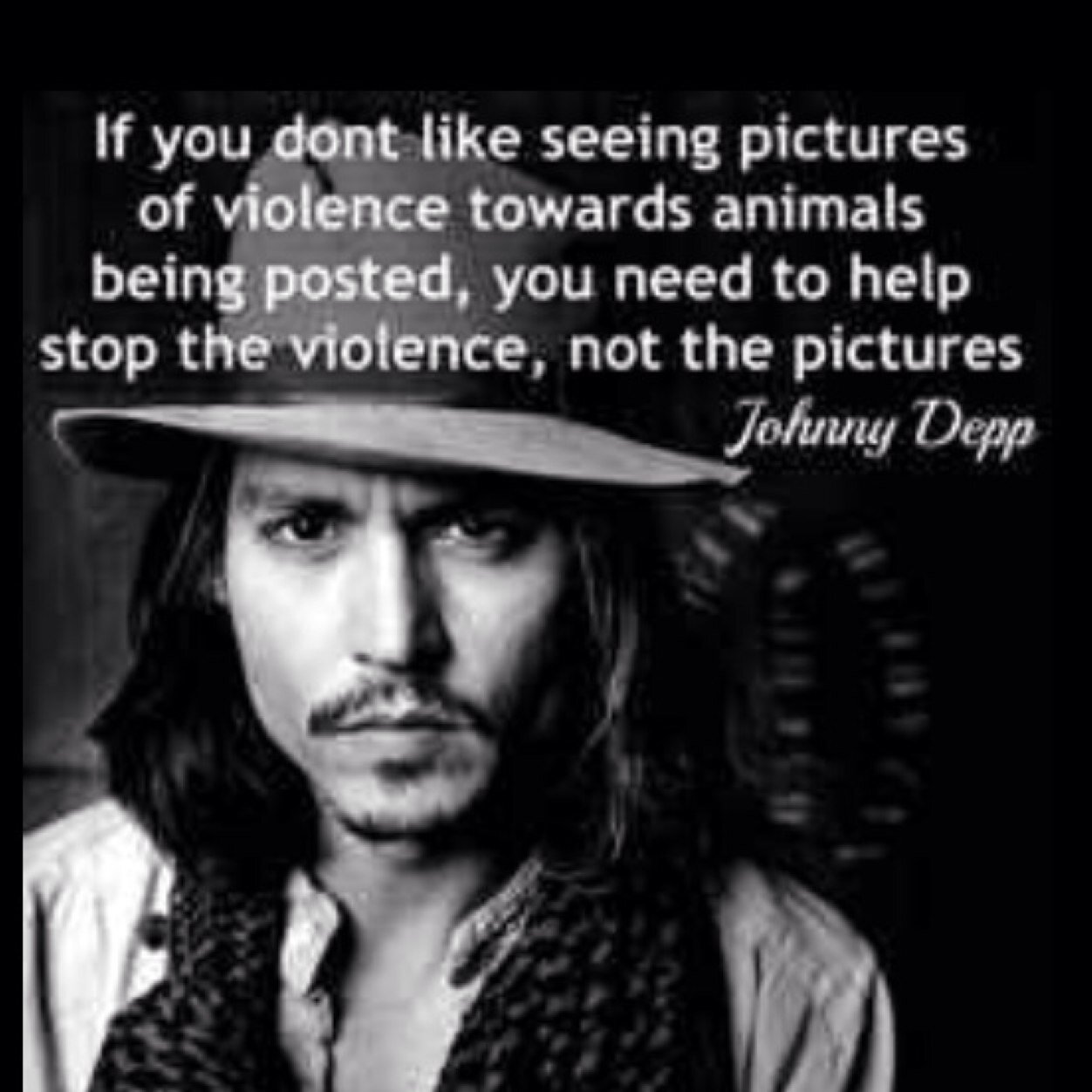 Helping spread awareness about animal abuse and cruelty that happens all over the world. #NoDogMeat #StopAnimalCruelty #SpeakUpForAnimals #AnimalRights