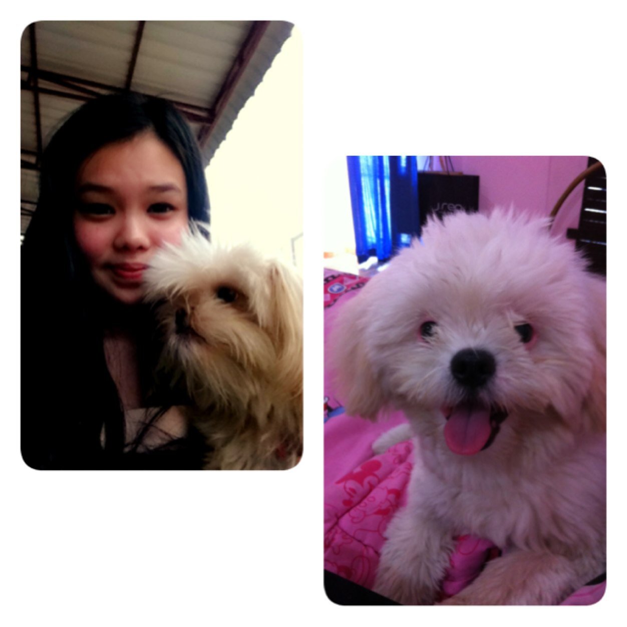 megawati_su's profile picture. Ig : megawatishu line : mega_su