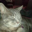 Matt criswell - @agnt549 - Twitter