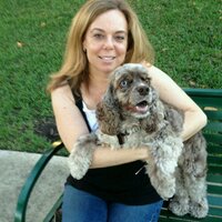 Audrey Feldman (@audrey_feldman) 's Twitter Profile