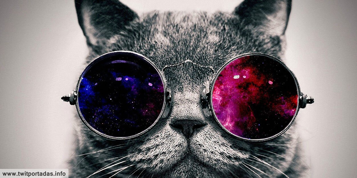 ForrHector's profile picture. Buenas noches