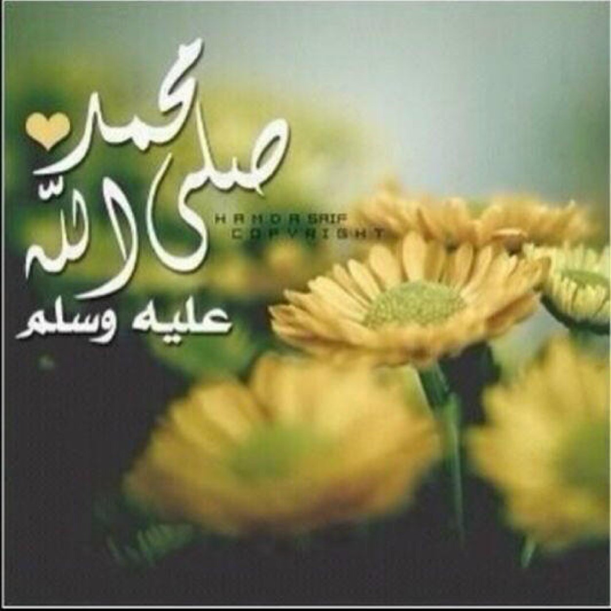 لا اله الا الله
