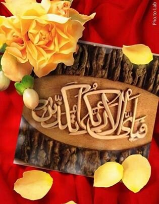 TanvirAnjumHaji's profile picture. 