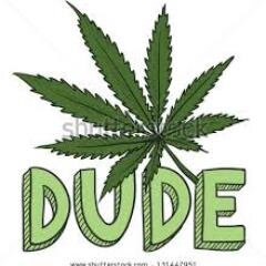 420gIRLpROBS's profile picture. Bi- Girl who likes guys but likes girls better.
420. Sandiego Highlife. CSUSM Class of 2017.