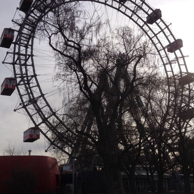 Lynnannbrowne's profile picture. 