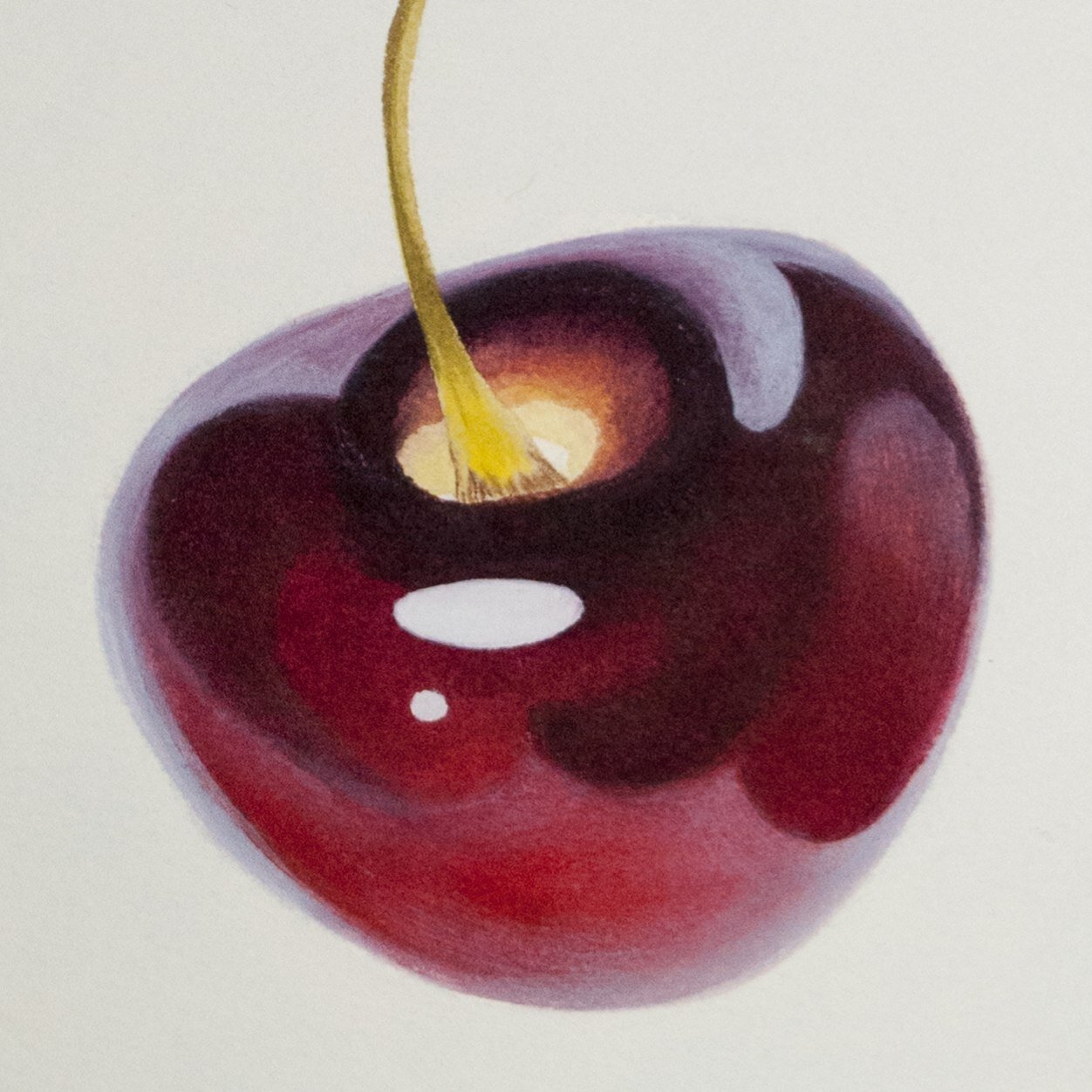 Artist Painter and Designer of Masterpieces Fine Art Instagram @sandraarceartgallery Instagram #sandraarceartgallery Facebook Sandra Arce Art Gallery