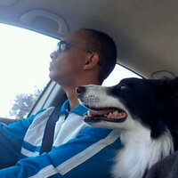 Patrick Fortuin (@patrickfortuin0) 's Twitter Profile