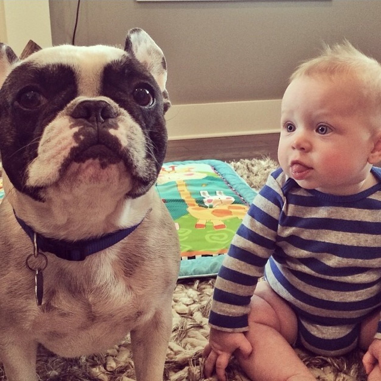 Oliver Neil Allen (OliverNeilAllen) Twitter