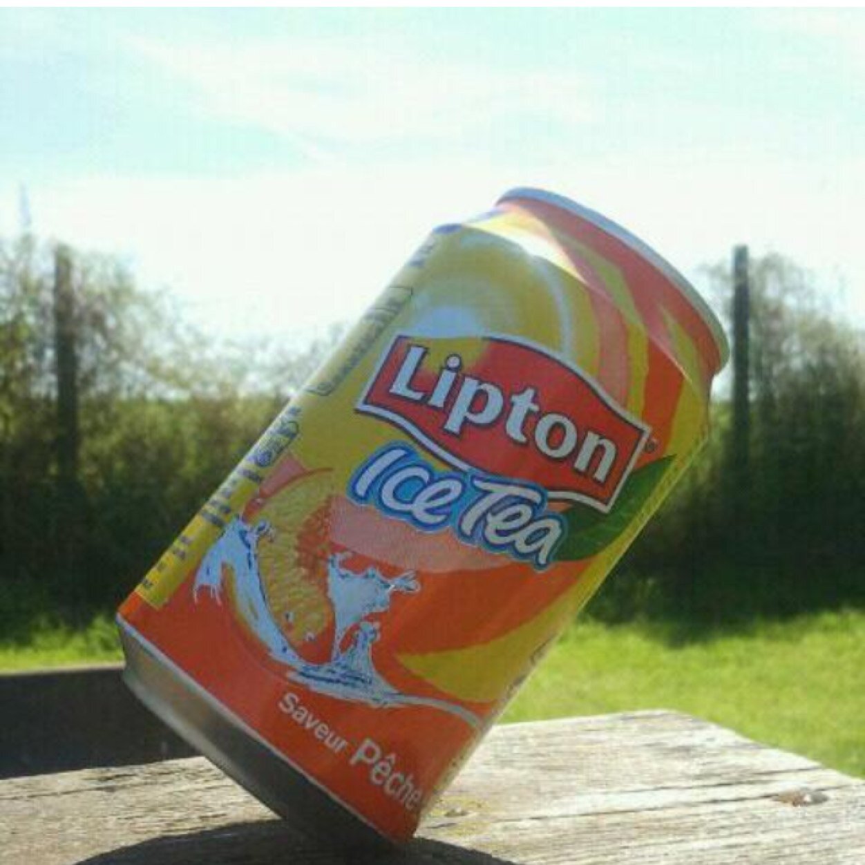 jackiemulder's profile picture. 