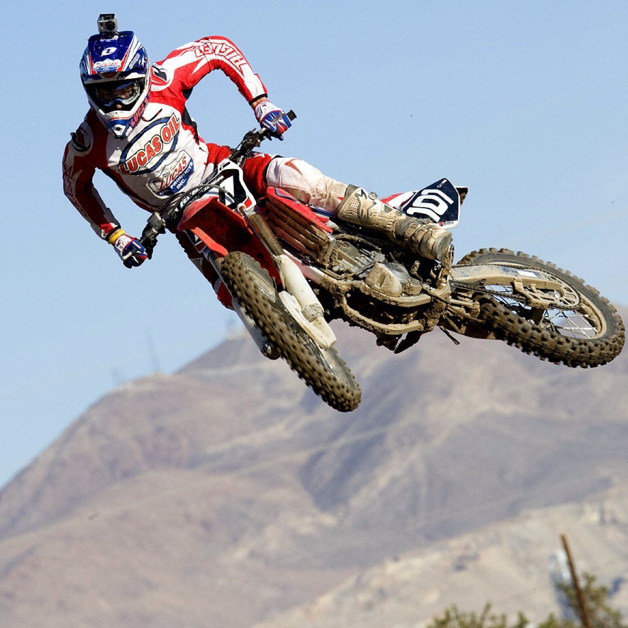 nitronutter's profile picture. 