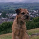 Michael Aspinall - @taz205t16 - Twitter