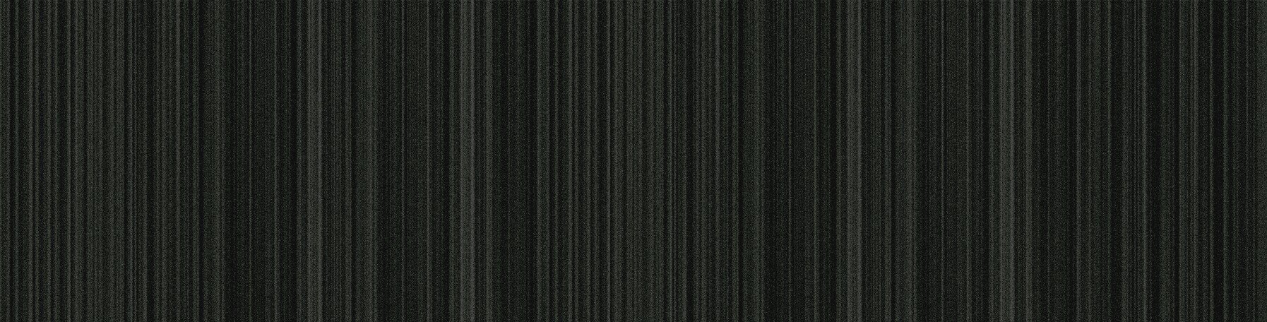 galano_vo's profile picture. 