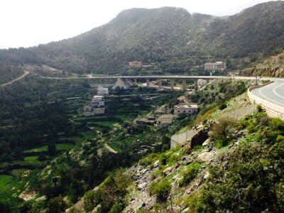 ksa6456636's profile picture. ‏العفوص ترحب بكم في موقعها على تويتر وفيسبوك ويوتيوب