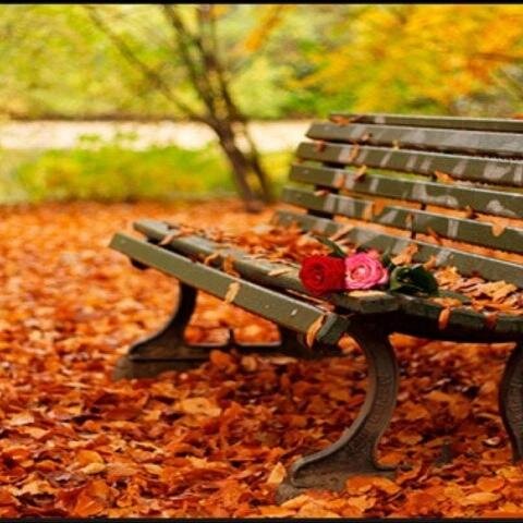 Burcualkank's profile picture. Takip edenleri talip ederim...