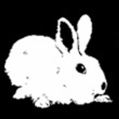 casukelorahu's profile image