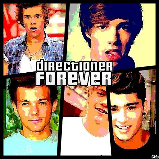 Mon boys?Harry Style 3  mon bo : Zayn mon drole:Louis mon mon mignon:Liam Mon bébé:Niall ♥  bref directioner forever 3