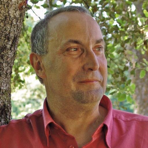 Ecrivain (auteur de 3 romans chez Lattès), historien des religions, conférencier, chroniqueur littéraire, libraire.