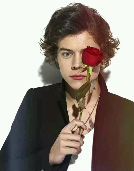 Hello. :) I'm a Directioner - Stan and proud of it. xx 

0/5