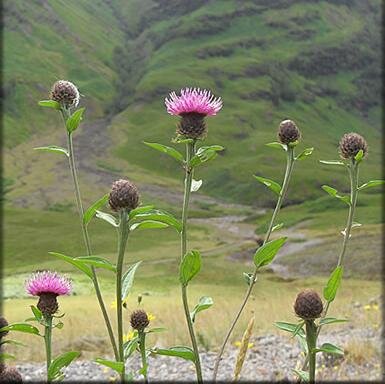 Visit Ayrshire & Arran in Scotland and book an amazing stay… #Travel like a Human #AirBnB