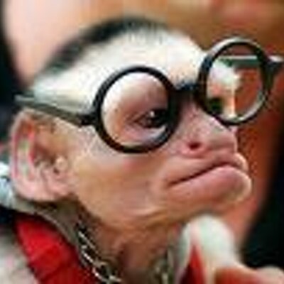 dirtyoneliners's profile image