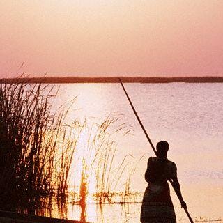 YourBotswanaNC's profile picture. http://t.co/RvntKqEmo2 on Botswana