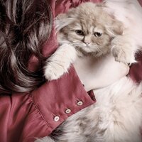 Shahd Mansour | 🇸🇦🇵🇸 (@809_shahd) Twitter profile photo