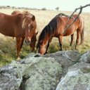 Alejandro Cabral - @Alejand58973436 - Twitter