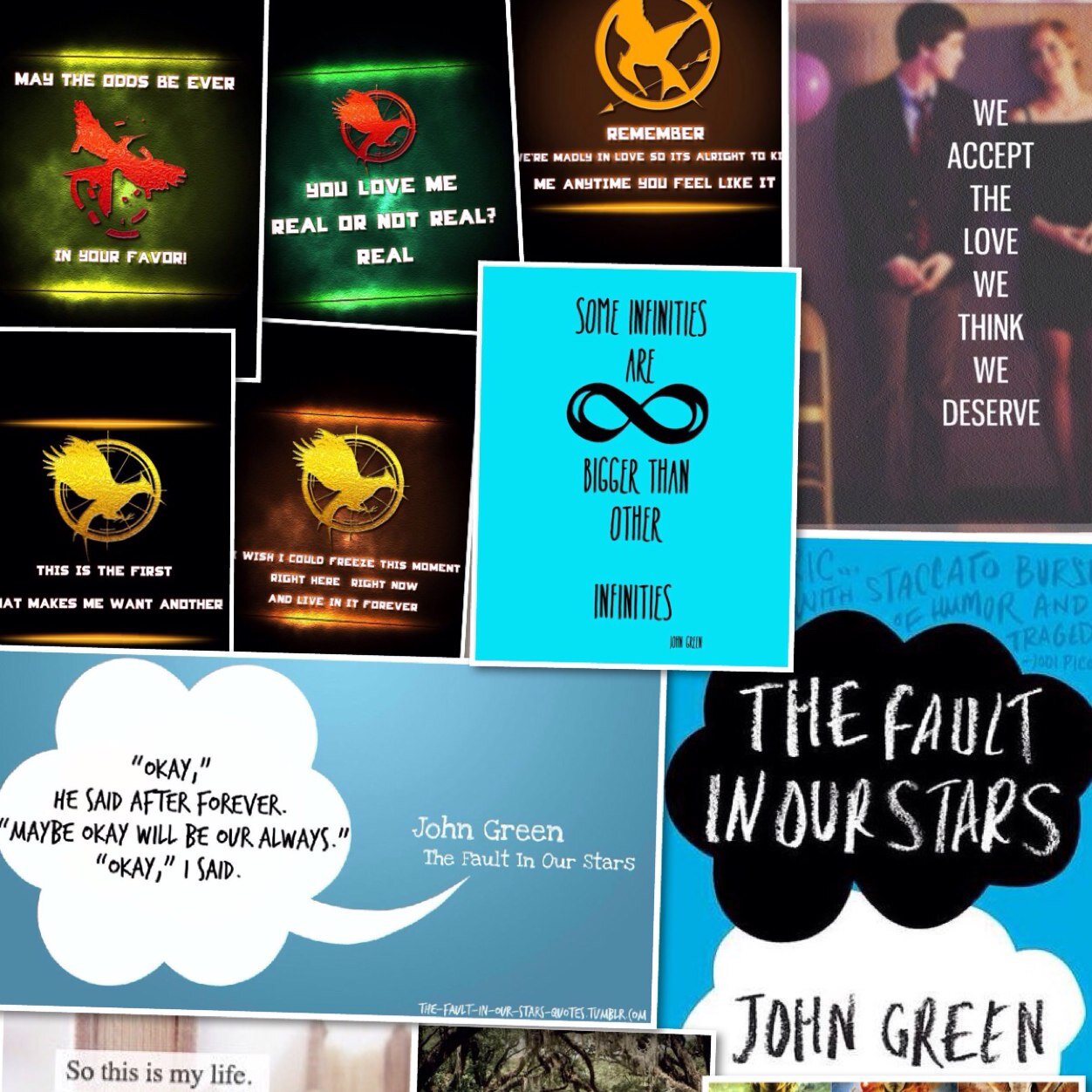Happiness is a good book and a cup of tea. ---Amity, Ravenclaw, District 11,Faerie--- ~~~~~~~~~~~~Nerdfighter ~~~~~~~~~~~ Kik me - another_girl9913