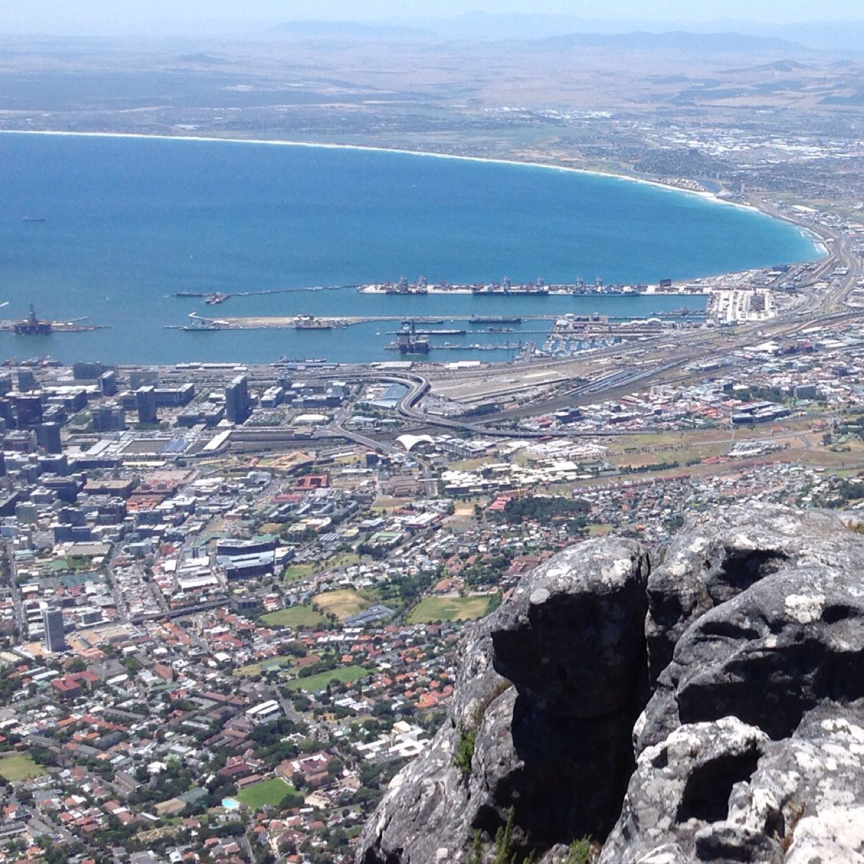 janeybear's profile picture. 