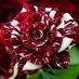 Adham (@oosamaoosama77) Twitter profile photo