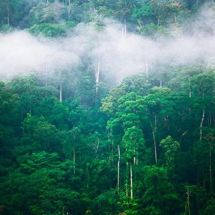 http://t.co/RvntKqEmo2 on Cameroon
