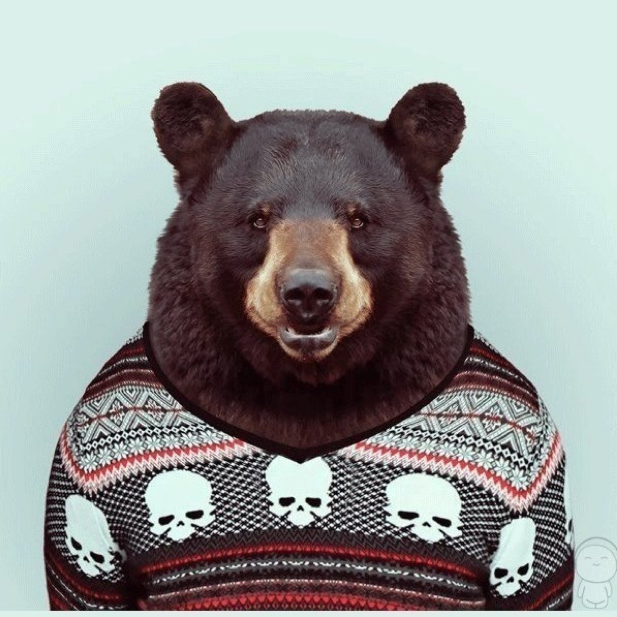 MiheyZ23's profile picture. 