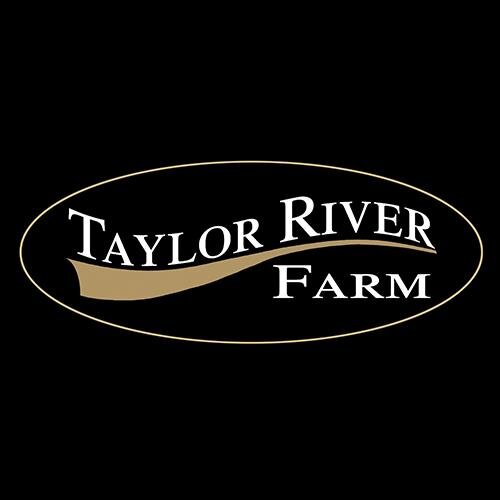 TaylorRiverFarm's profile picture. World Class Morgan Horse Farm & Riding Academy