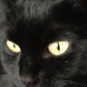 lauramercues's profile picture. Adore le cinema , les animaux, la mode, les bons plans, http://t.co/iU0GwcR8Nu
http://t.co/IFQFSuWYr2
