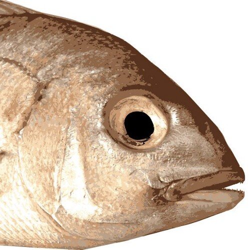 Esturdiga68's profile picture. Siempre pescao