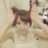 soukantok_48's profile image