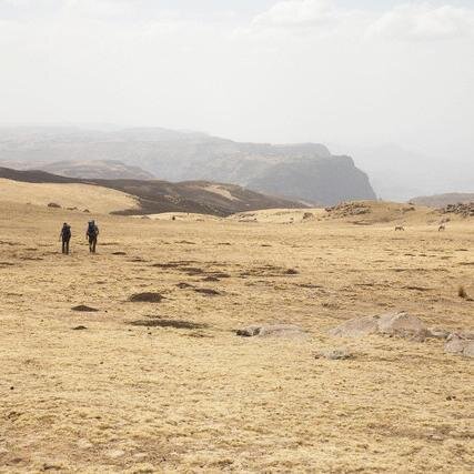 YourEthiopiaNC's profile picture. http://t.co/RvntKqEmo2 on Ethiopia