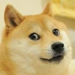 Embryo__'s profile picture. 