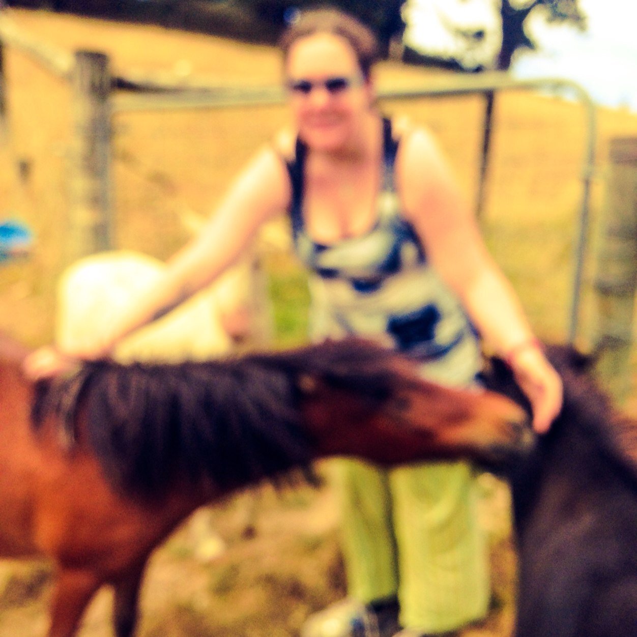 HWR started in 2002 after Max could no longer compete in dressage horse riding due to chronic diabetes and nerve damage. She later imported her first stallion.