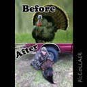 Andrew Sherrod - @sherrod_99 - Twitter