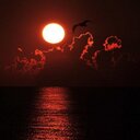 Carmen Black - @CarmenBlack2000 - Twitter