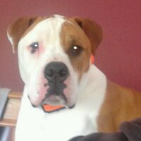Monica sizemore (@monica_sizemore) 's Twitter Profile