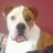 monica_sizemore's profile image