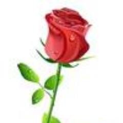 927Pati's profile picture. retired RN